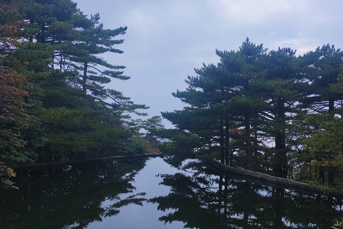 Huangshan Scenic Area